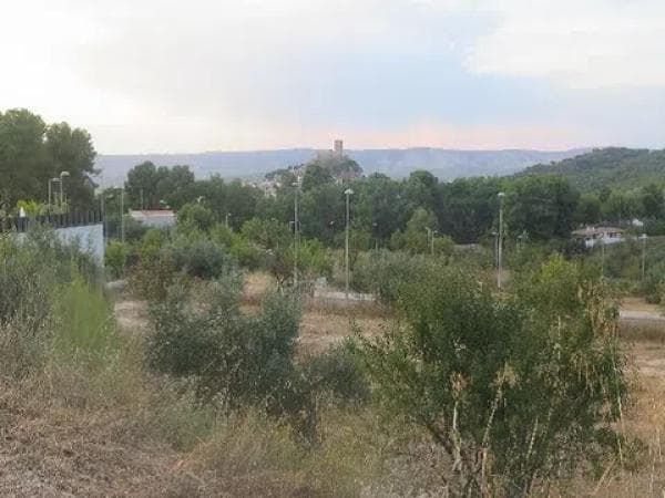 Terreno en Montehigueral s/n photo 1