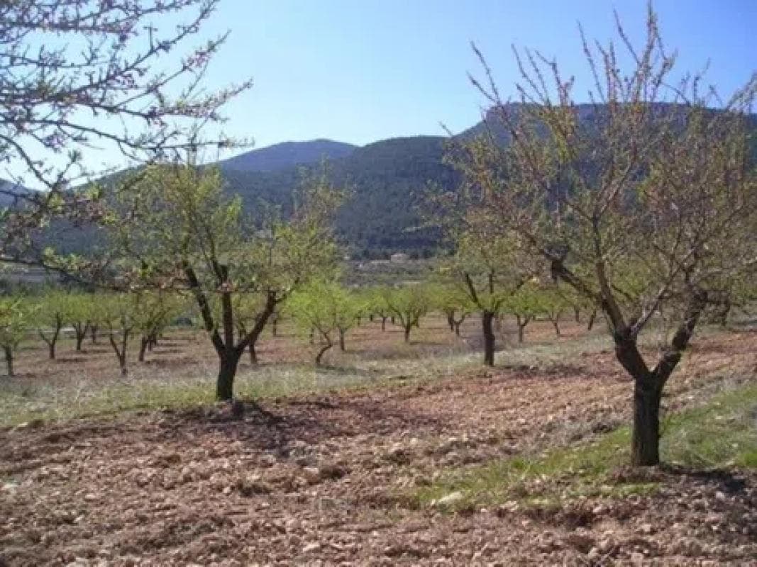 Terreno en venta en Biar, Alicante photo 2