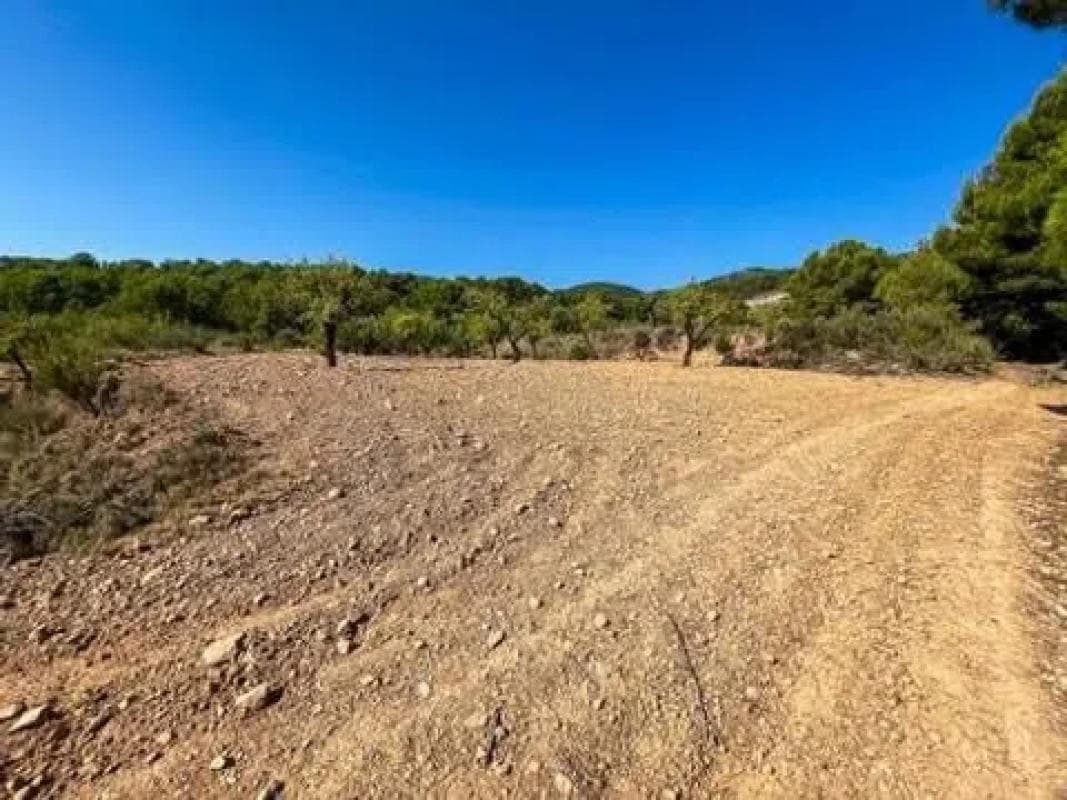 Terreno en venta en Biar, Alicante photo 5