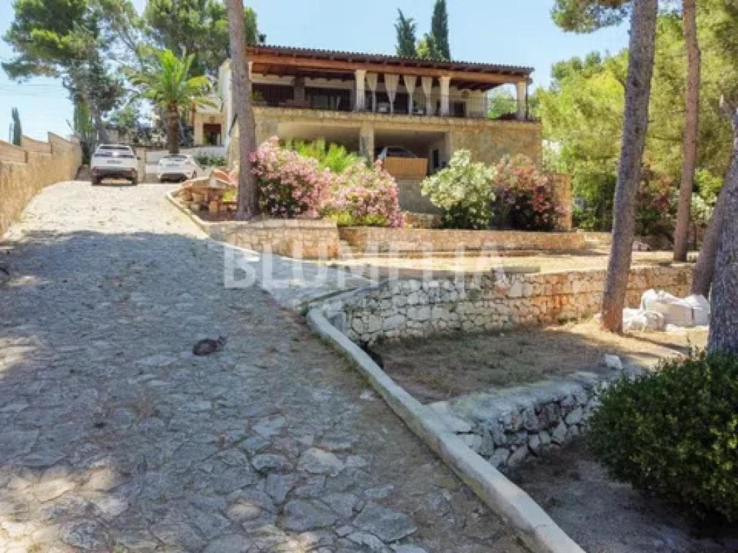 Propiedades en venta y alquiler en España photo 2