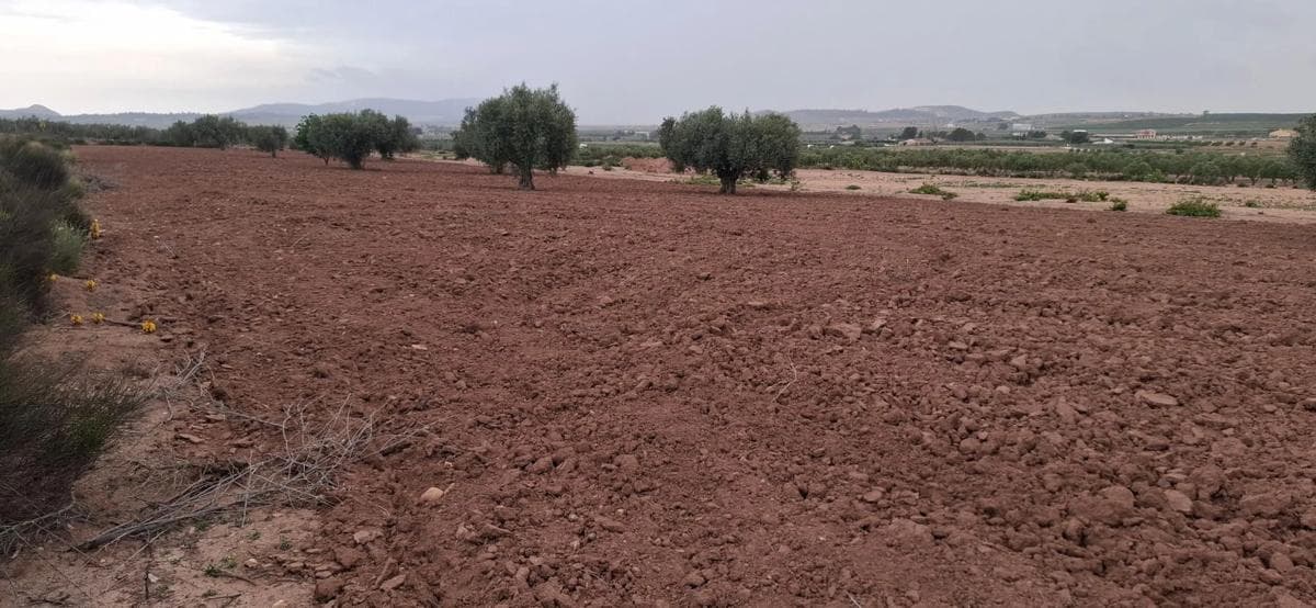Terreno en venta en Pinoso, Alicante photo 4