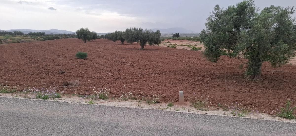 Terreno en venta en Pinoso, Alicante photo 5