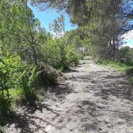Terreno en Planes photo 2