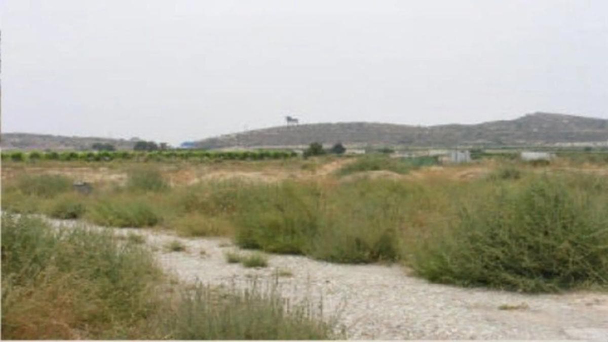 Terreno en venta en Monforte del Cid, Alicante photo 2