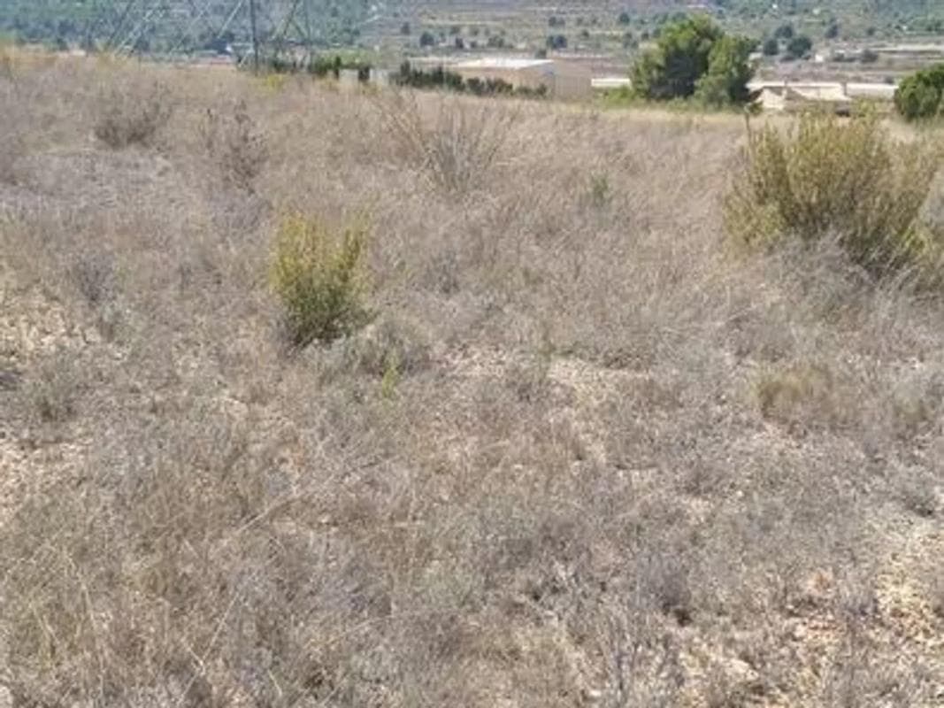 Terreno en venta en Monovar, Alicante photo 2