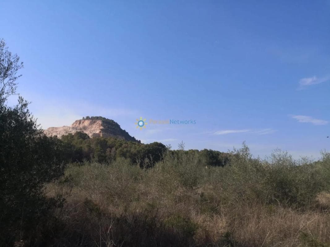 Terreno en venta en Pego, Alicante photo 4