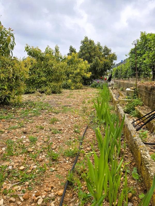 Terreno en venta en Pego, Alicante photo 3