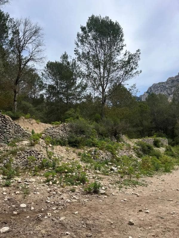 Terreno en venta en Tarbena, Alicante photo 5