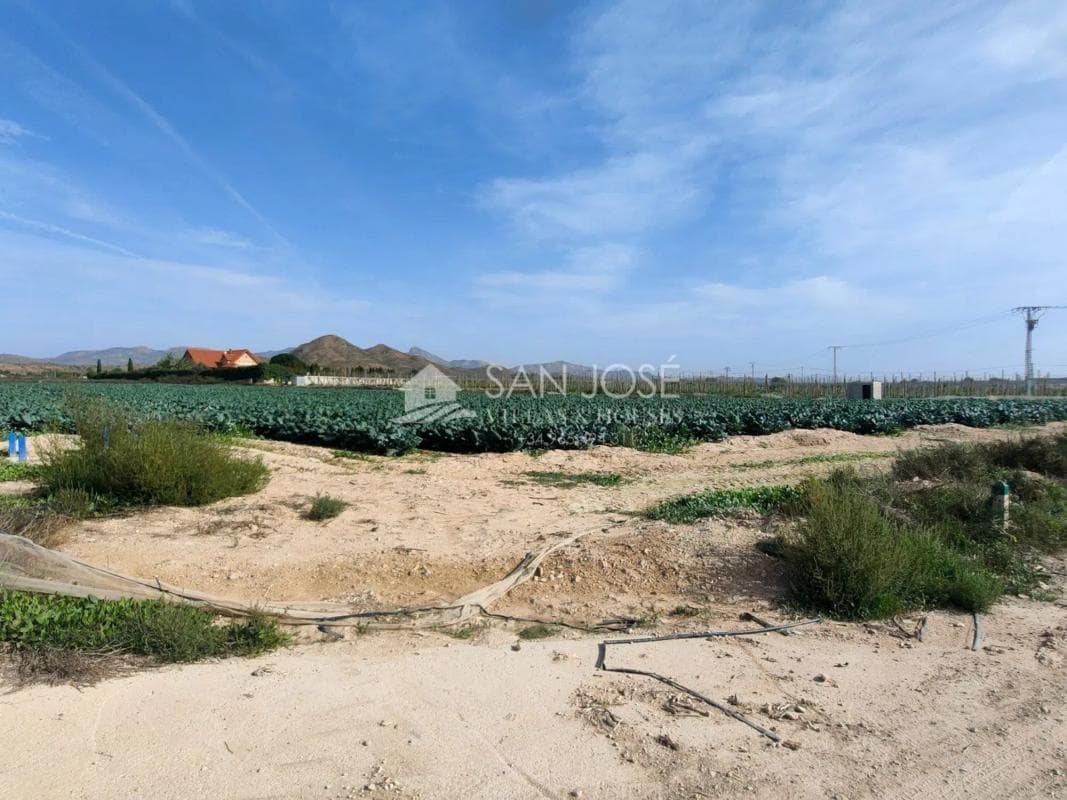 Terreno en venta en Monforte del Cid, Alicante photo 3