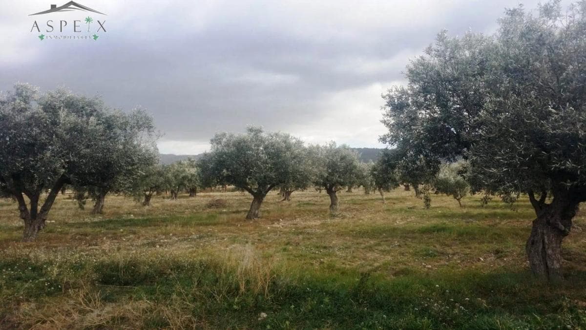 Terreno en venta en Biar, Alicante photo 3
