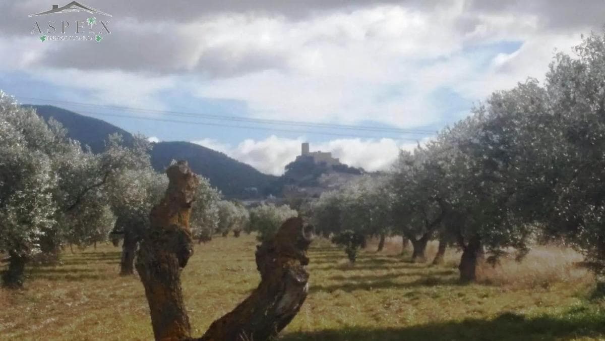 Terreno en venta en Biar, Alicante photo 4