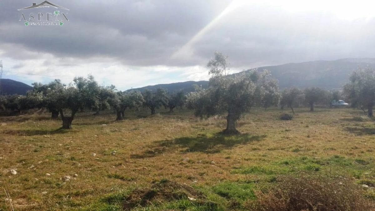 Terreno en venta en Biar, Alicante photo 5