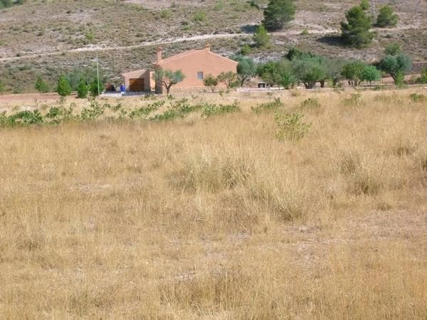 Terreno en Hondón de las Nieves photo 1