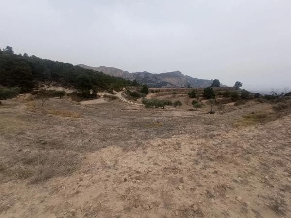 Terreno en Sierra de Don Benito s/n photo 1