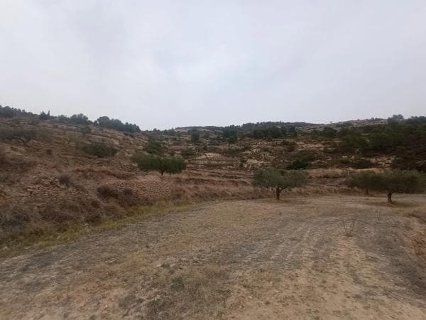 Terreno en Sierra de Don Benito s/n thumbnail 2