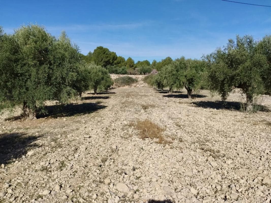 Terreno en venta en Petrer, Alicante photo 3