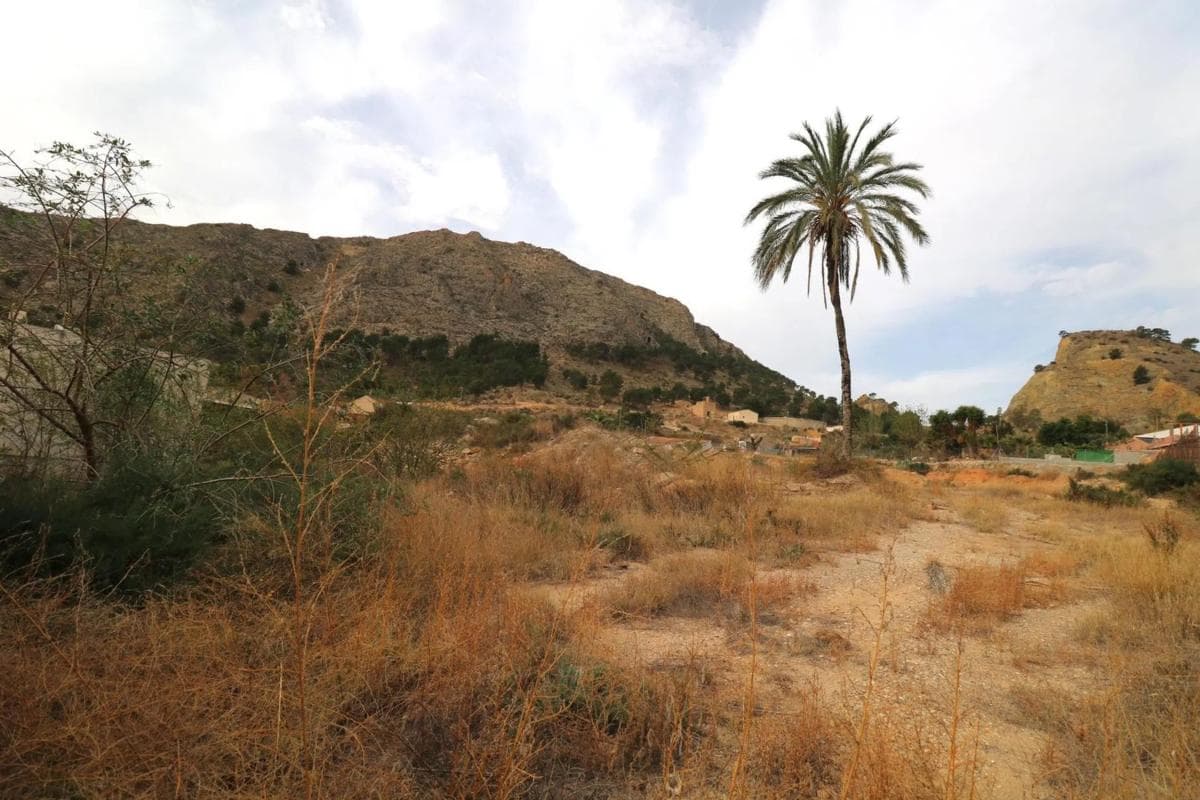 Terreno en venta en Orihuela, Alicante photo 2