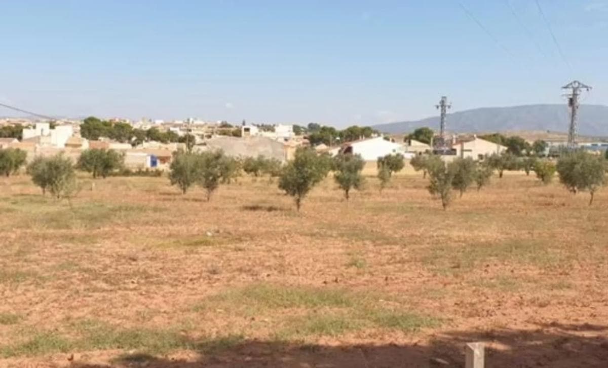 Terreno en venta en Pinoso, Alicante photo 2
