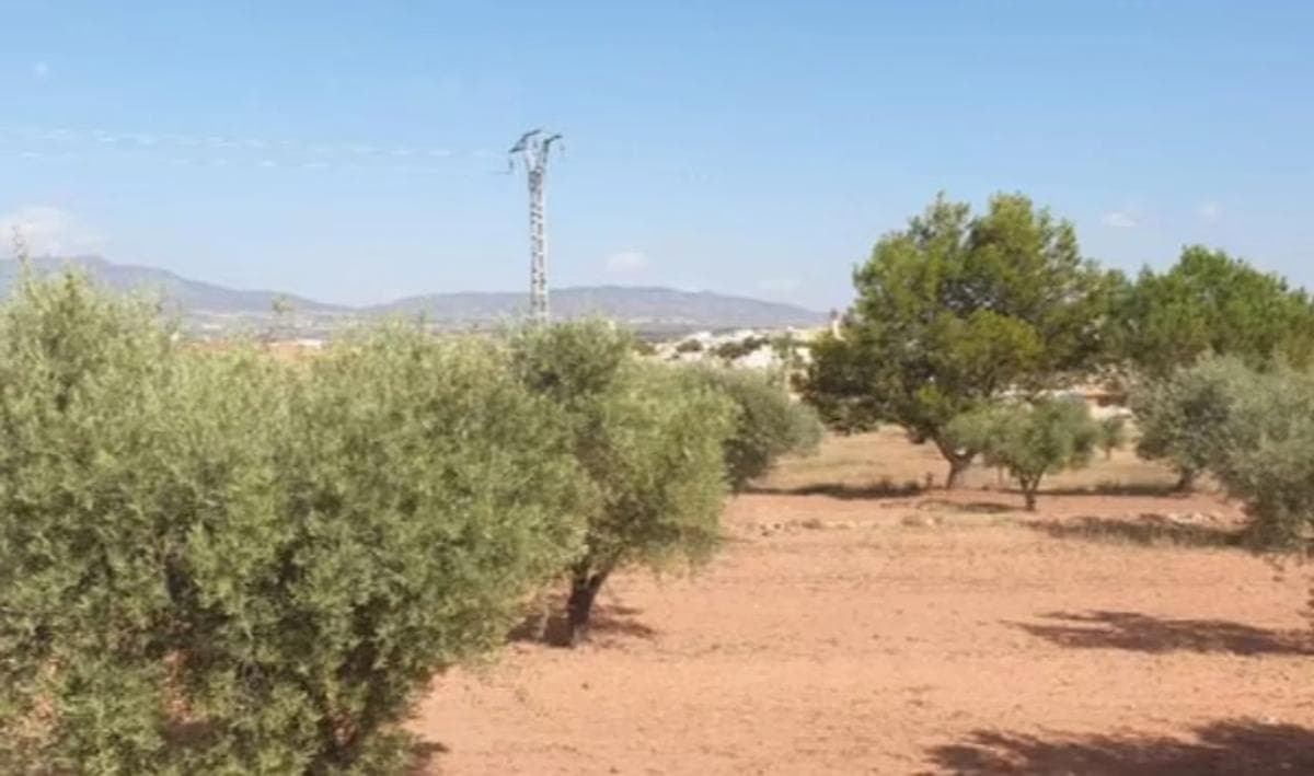 Terreno en venta en Pinoso, Alicante photo 3