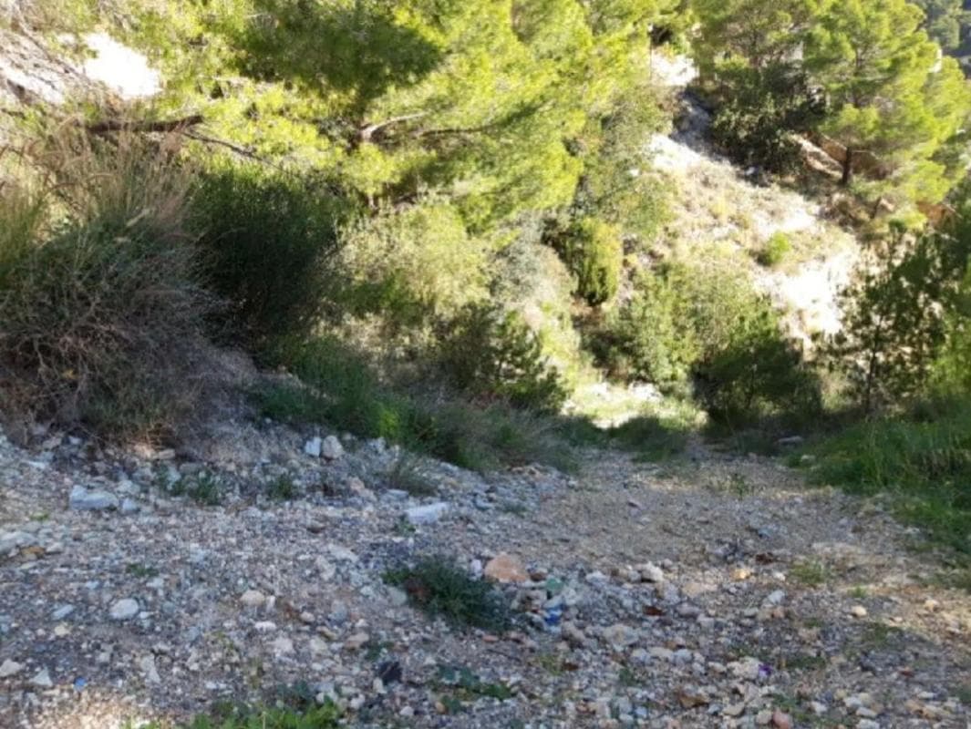 Property photo 4