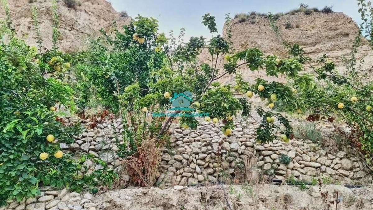 Terreno en venta en Jijona / Xixona, Alicante photo 3