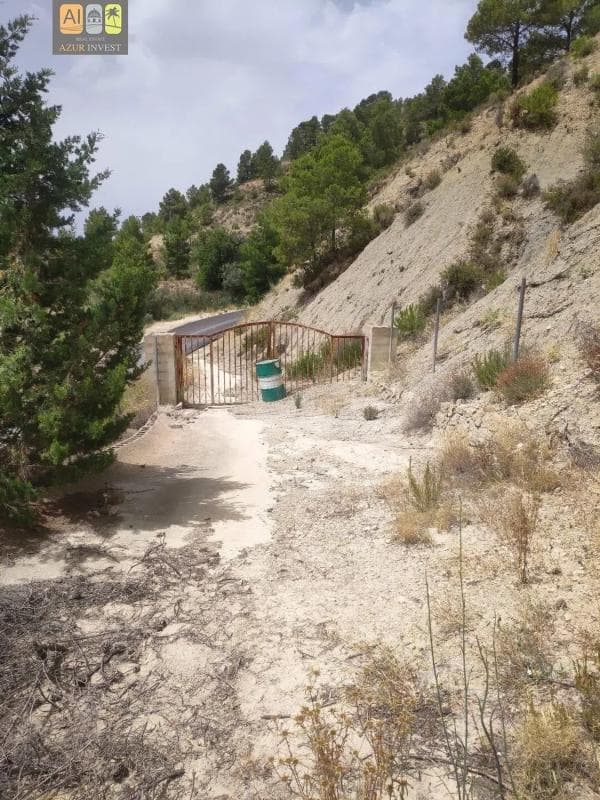 Terreno en venta en Monovar, Alicante photo 3
