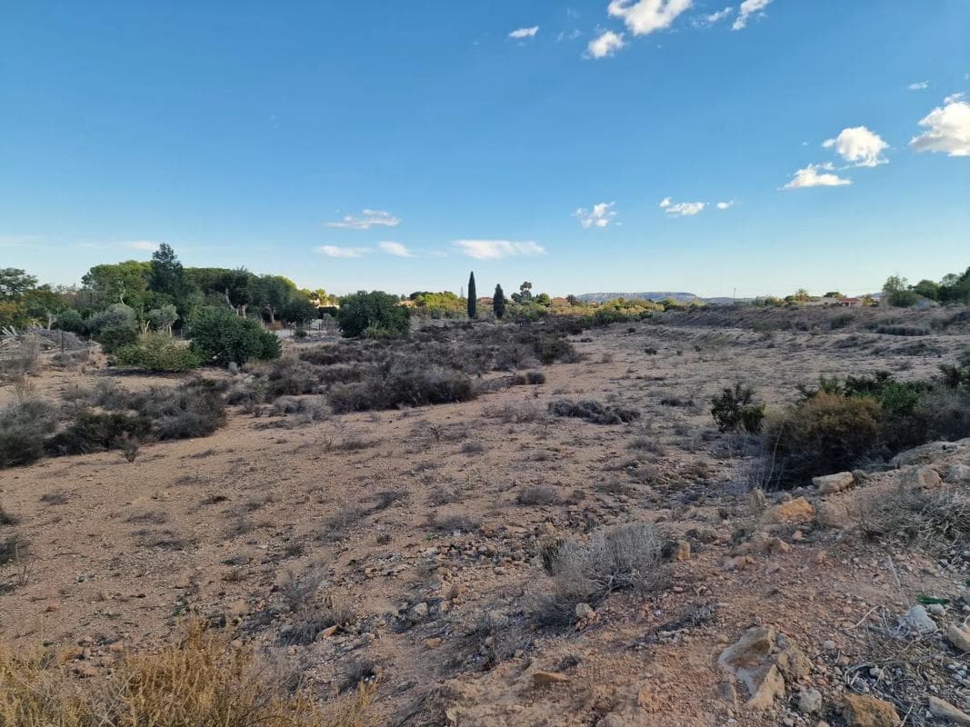 Terreno en venta en San Vicente del Raspeig, Alicante photo 2