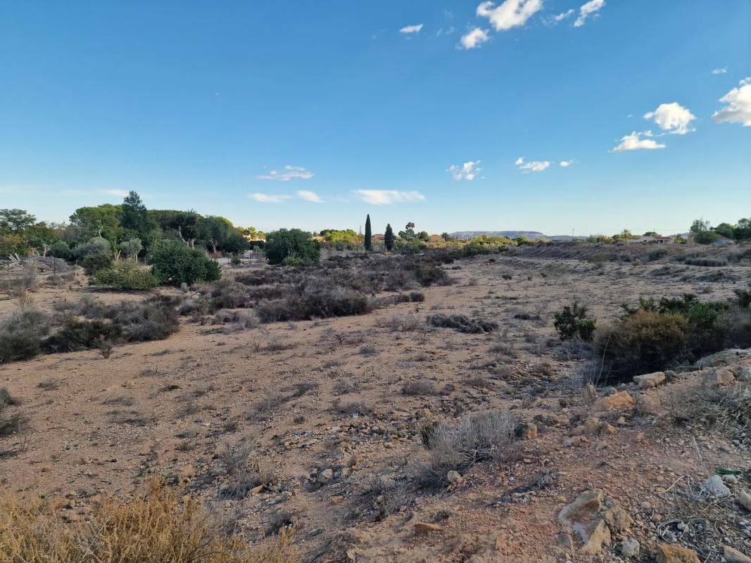 Terreno en venta en San Vicente del Raspeig, Alicante photo 3