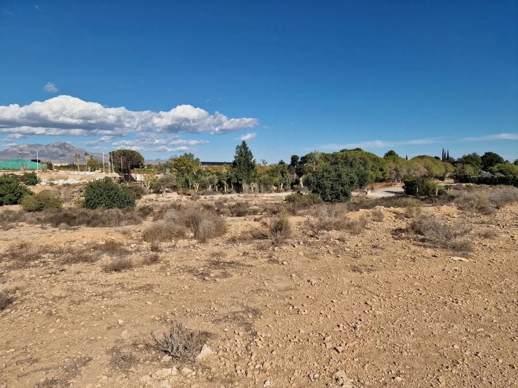 Terreno en venta en San Vicente del Raspeig, Alicante photo 4