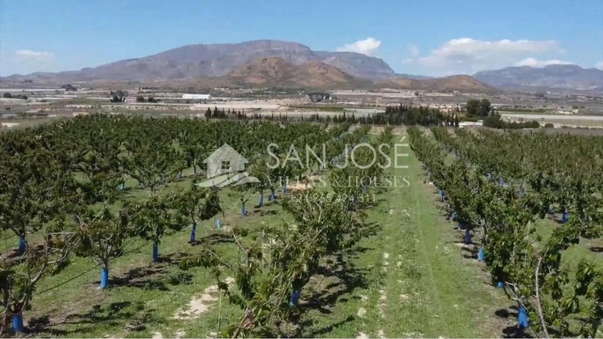 Terreno en venta en Monforte del Cid, Alicante photo 3