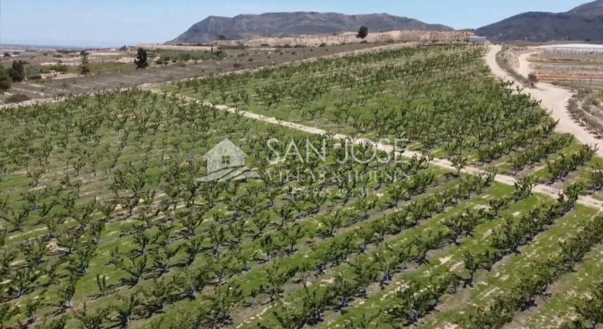 Terreno en venta en Monforte del Cid, Alicante photo 4