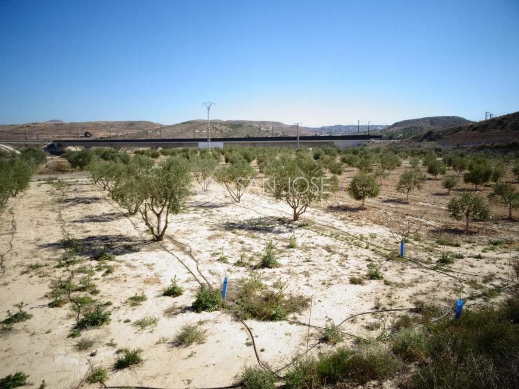 Terreno en venta en Aspe, Alicante photo 5