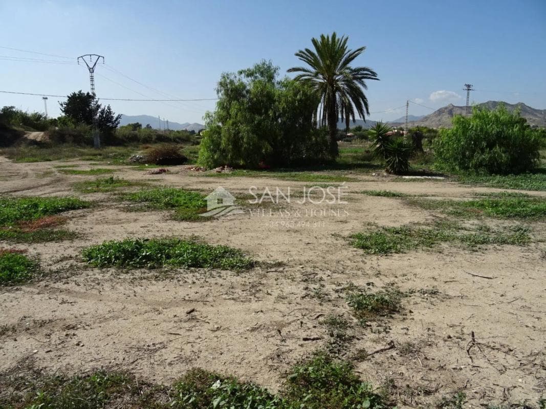 Terreno en venta en Aspe, Alicante photo 3