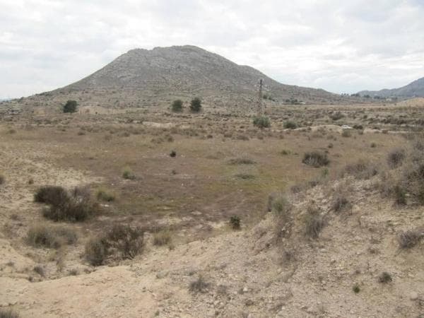 Product photo 1
