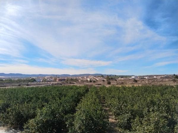 Terreno en carretera Torremendo, 7 thumbnail 2
