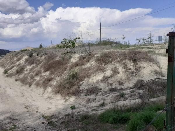 Terreno en Desamparados-Hurchillo-Torremendo thumbnail 2