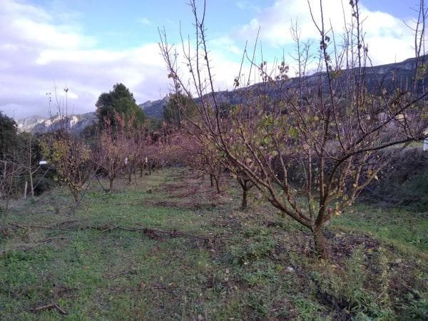 Terreno en Cv-700, 12 photo 2