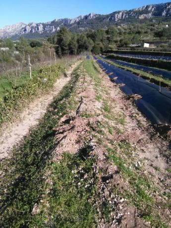 Terreno en Cv-700, 12 photo 3