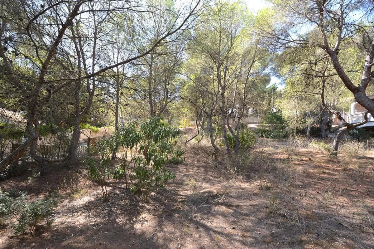 Terreno en venta en Orihuela, Alicante photo 2