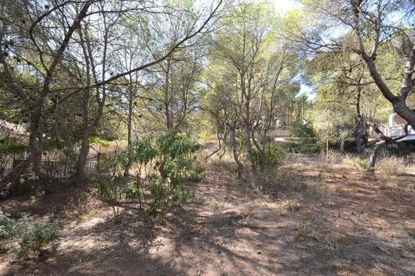 Terreno en Barrio Campoamor thumbnail 1