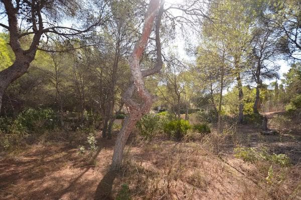 Terreno en Barrio Campoamor thumbnail 2