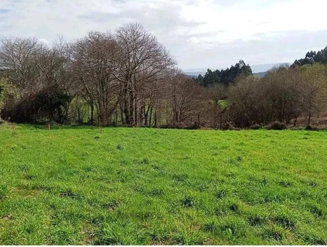 Terreno en venta en Brion, A Coruña photo 2