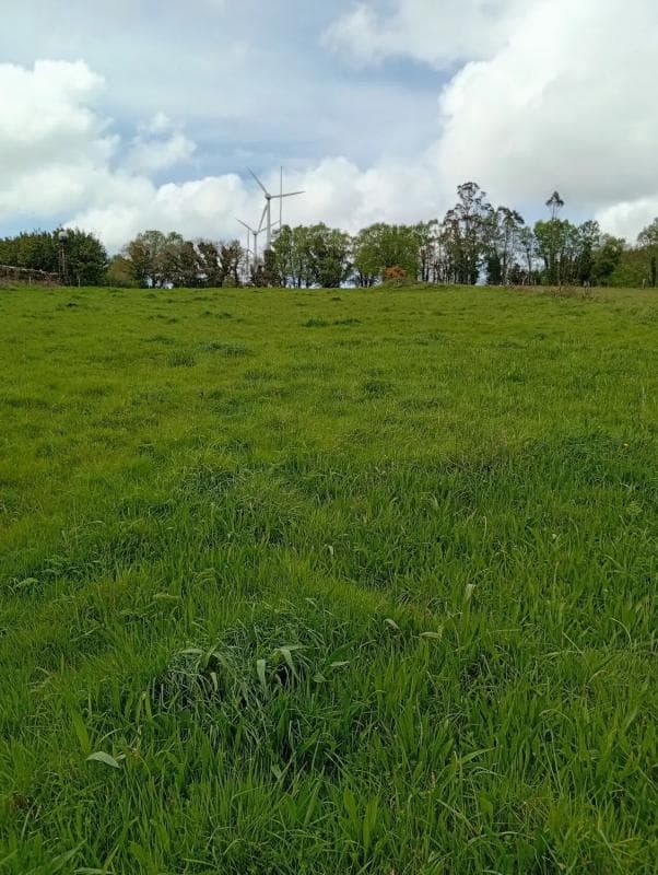 Land for sale in Somozas, A Coruña photo 2