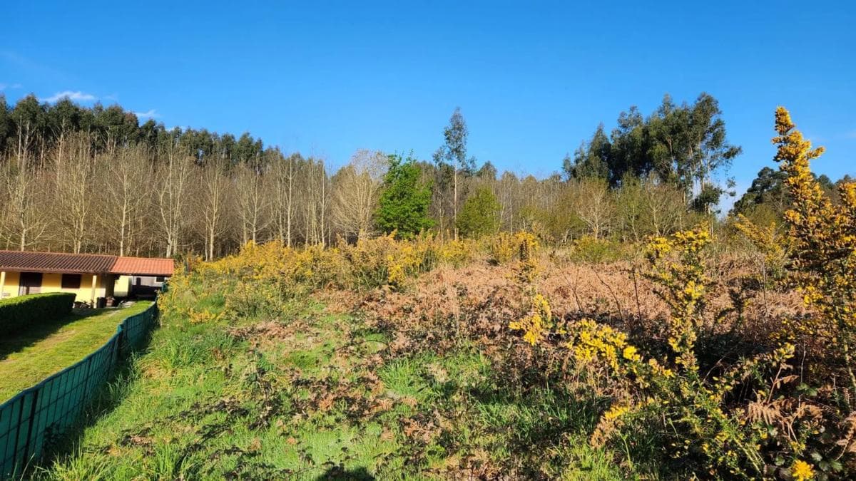 Terreno en venta en Oza-Cesuras, A Coruña photo 3