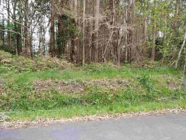 Terreno en carretera Limodre s/n photo 1