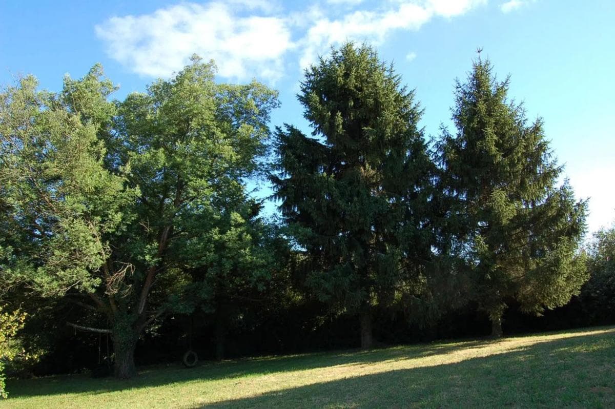 Działka na sprzedaż w Oza-Cesuras, A Coruña photo 4
