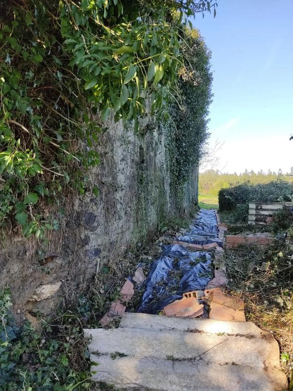 Terreno en venta en Ortigueira, A Coruña photo 3