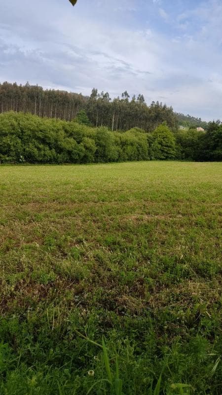 Terreno en venta en Ortigueira, A Coruña photo 5