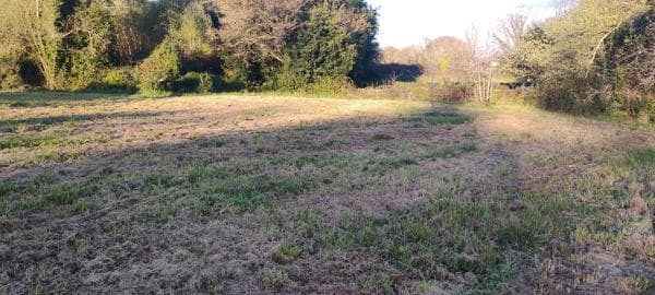 Terreno en Cp-0808 photo 1