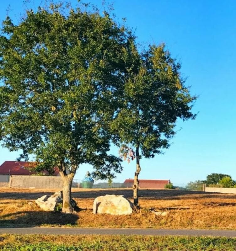 Działka na sprzedaż w Trazo, A Coruña photo 2
